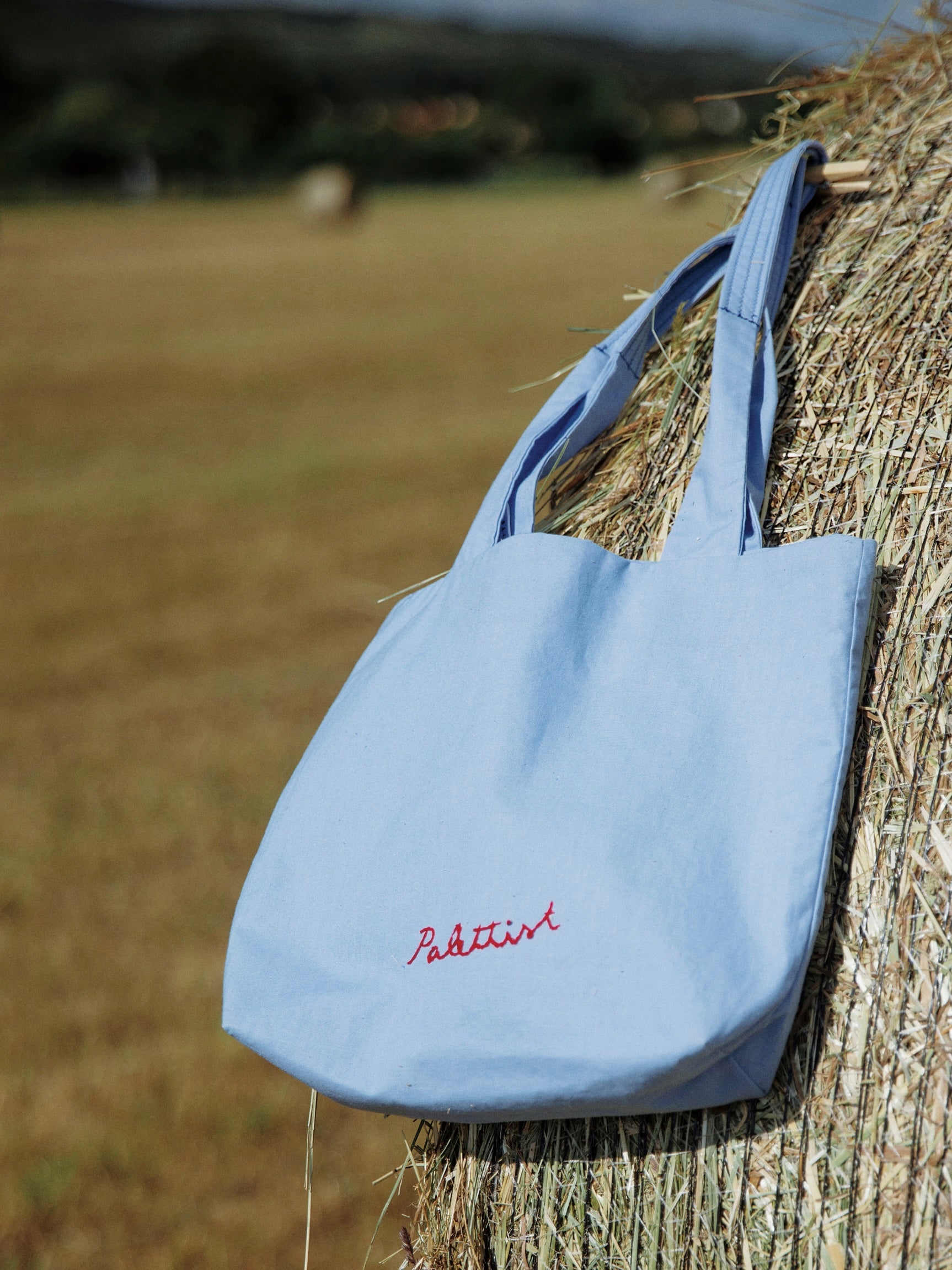 Hand embroidery daisy bag