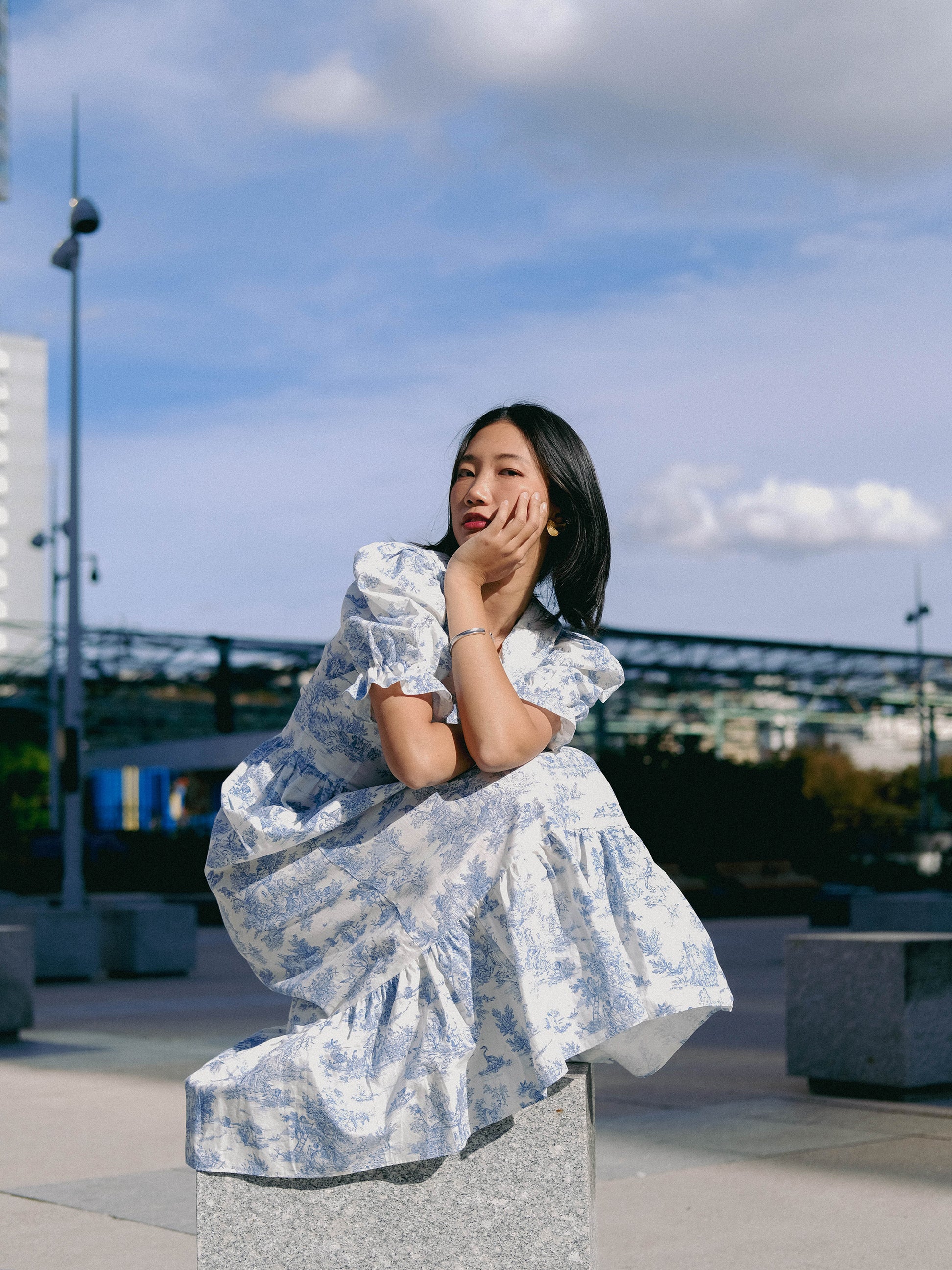 Handmade Toile de Jouy dress