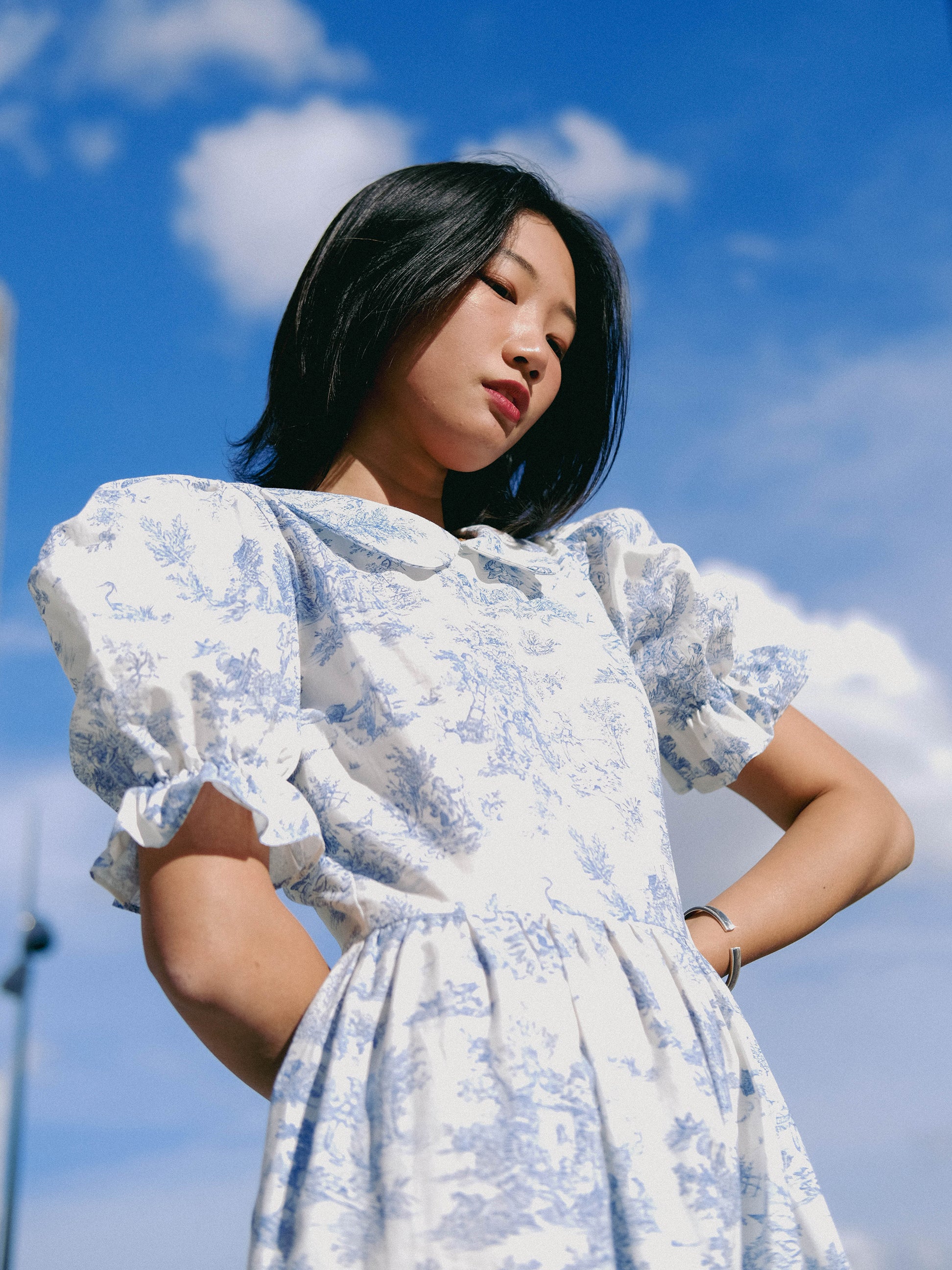 Handmade Toile de Jouy dress